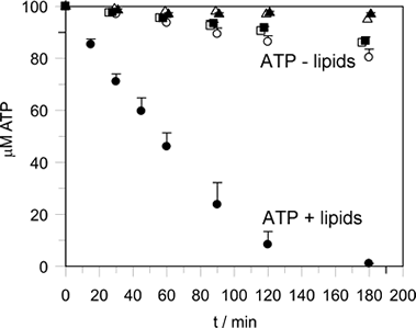 EHD_ATP-Hydrolysis